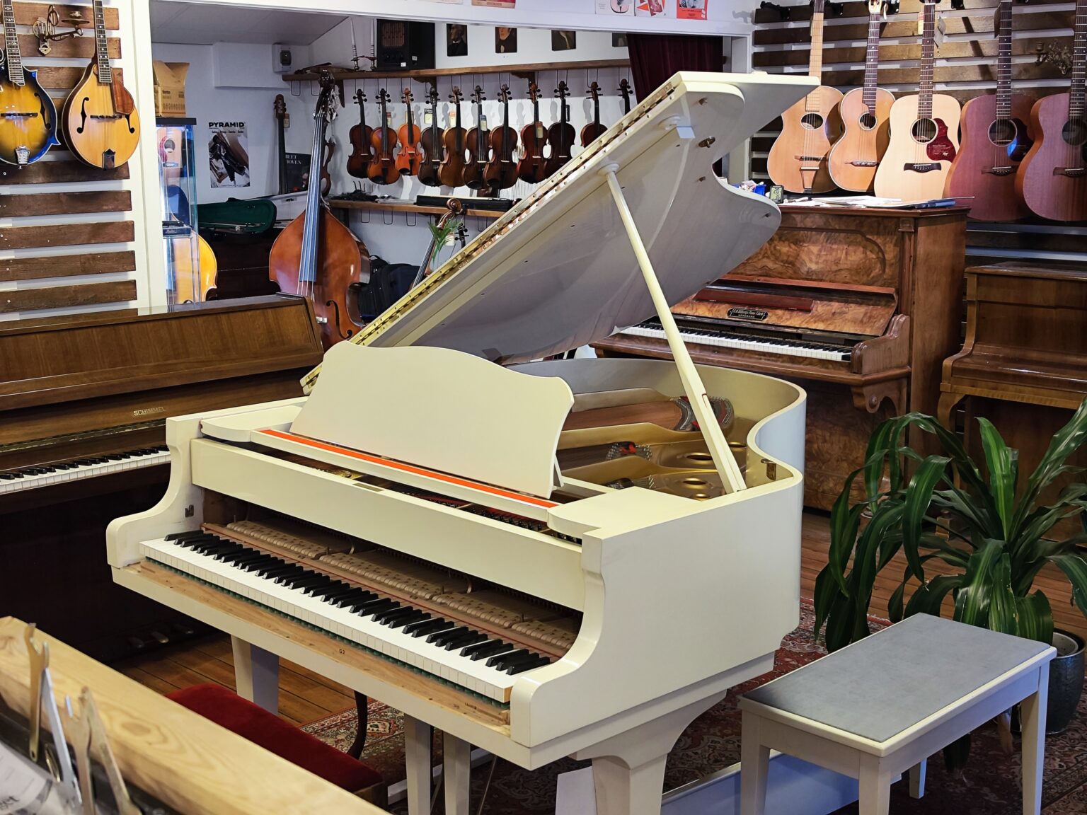 interiör från ödmans musik med flygel, pianon, gitarrer, mandolin och stråkinstrument